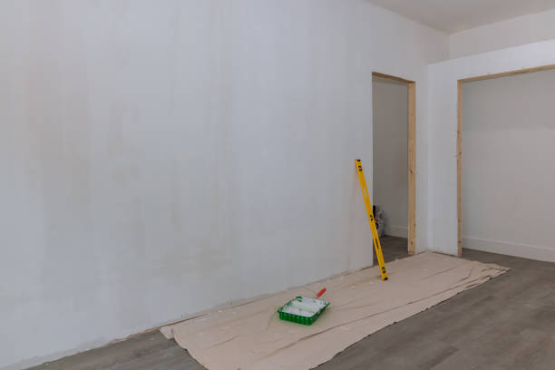 Best Drywall Installation  in Dover, FL